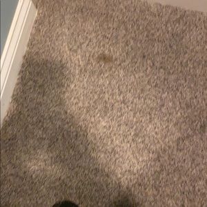 Meet your Posher, Henry